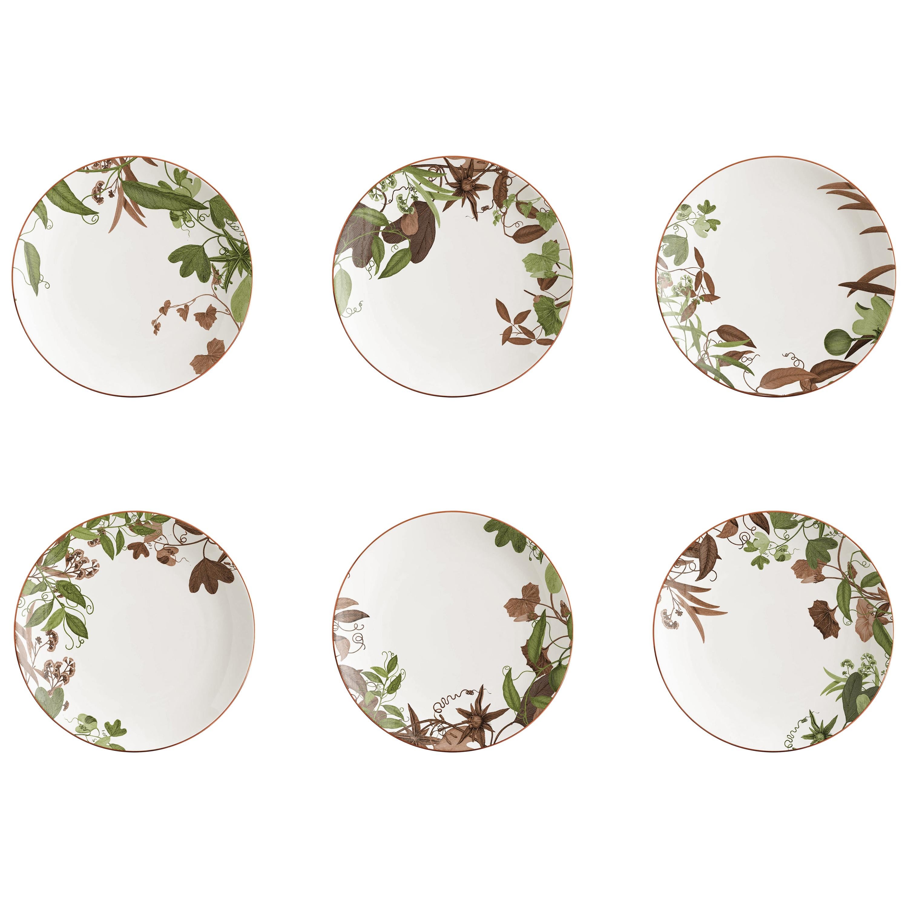 Mont Blanc, Six Contemporary Porcelain Bread Plates with Decorative Design For Sale