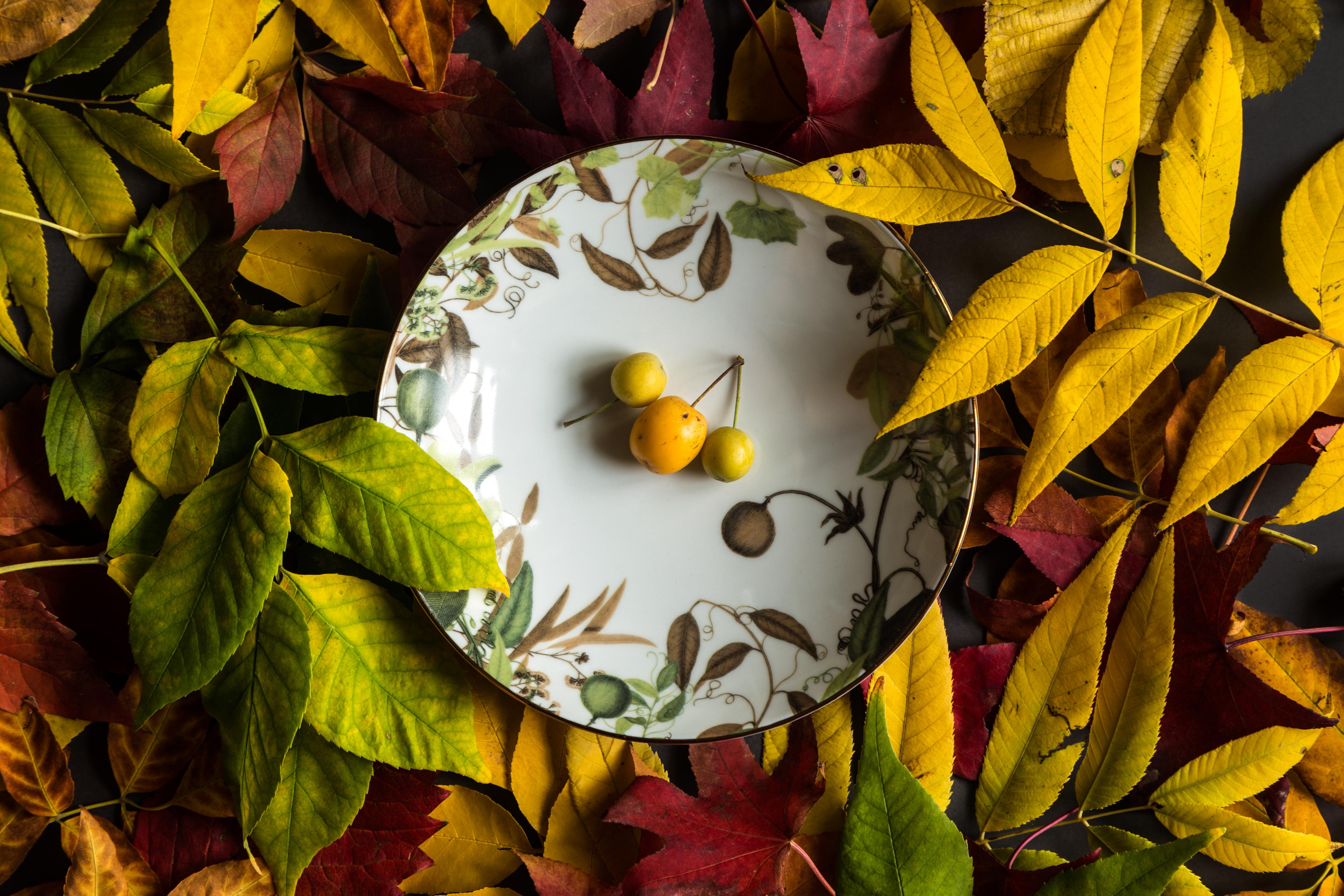 Mont Blanc, seis platos hondos de porcelana contemporánea con diseño decorativo en venta 2