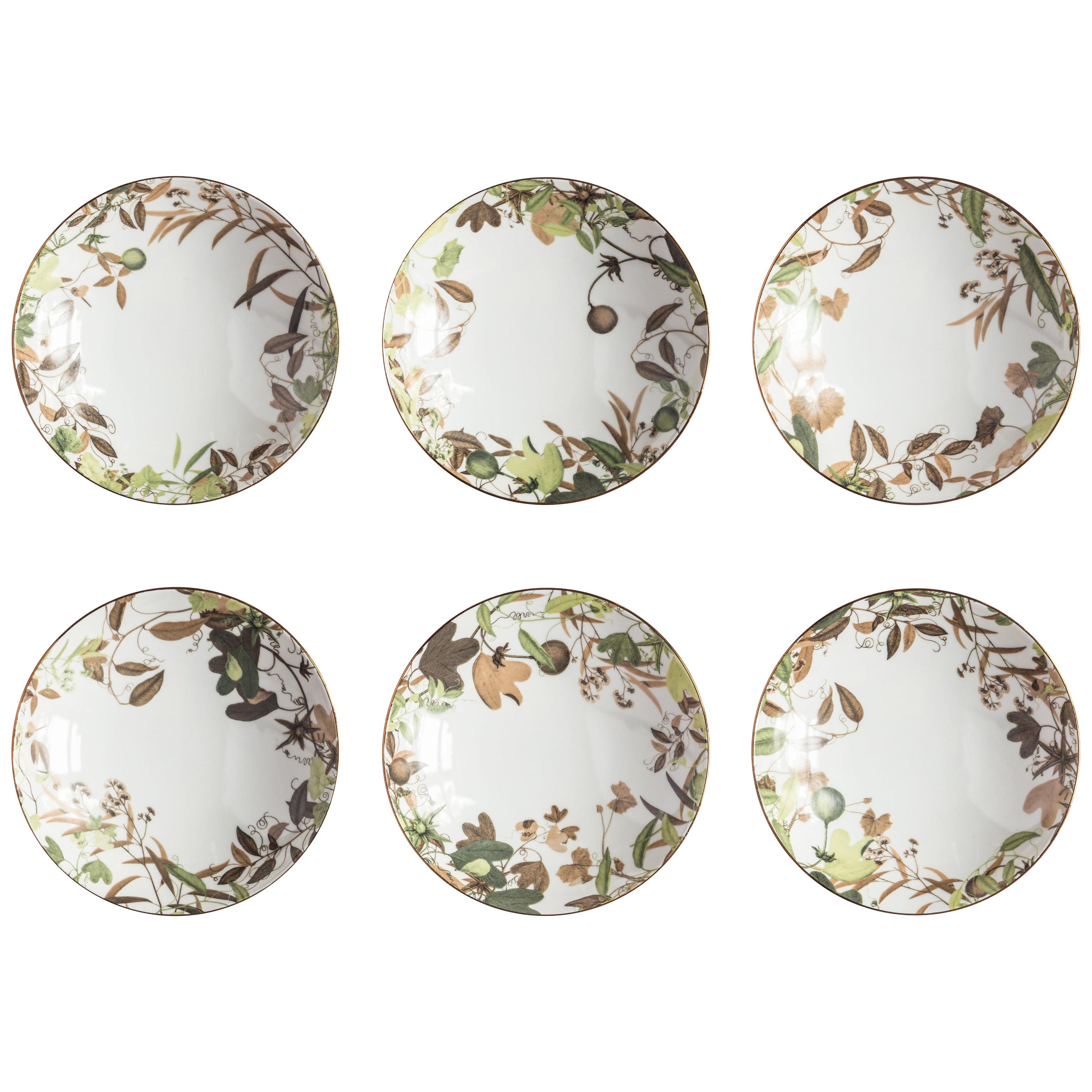 Mont Blanc, seis platos hondos de porcelana contemporánea con diseño decorativo en venta
