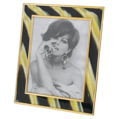 Montagnani Gilded Brass and Faux-Horn Lucite Inlaid Picture Frame, circa 1970
