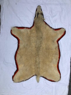 Montana Trophy Mountain Goat Hide Rug