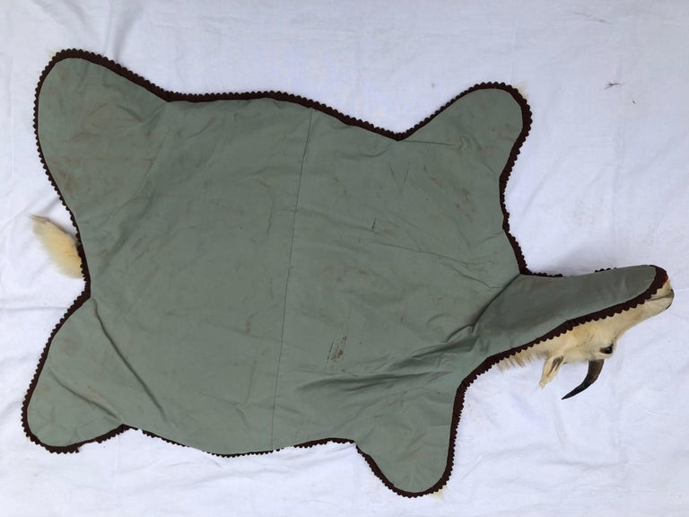 Montana Trophy Mountain Goat Hide Rug For Sale at 1stDibs