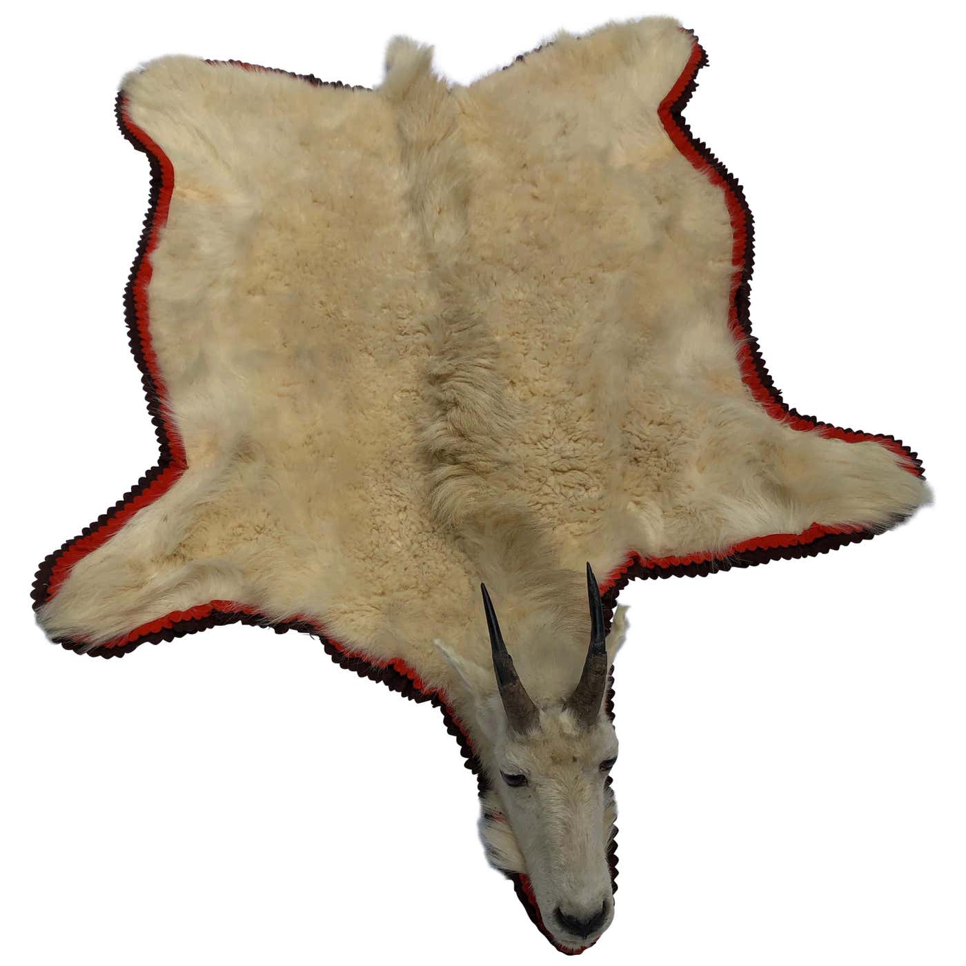 Montana Trophy Mountain Goat Hide Rug at 1stDibs | mountain goat rug ...
