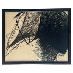 "Montauk Coincidence" Signierte Lithographie von Heide Fasnacht