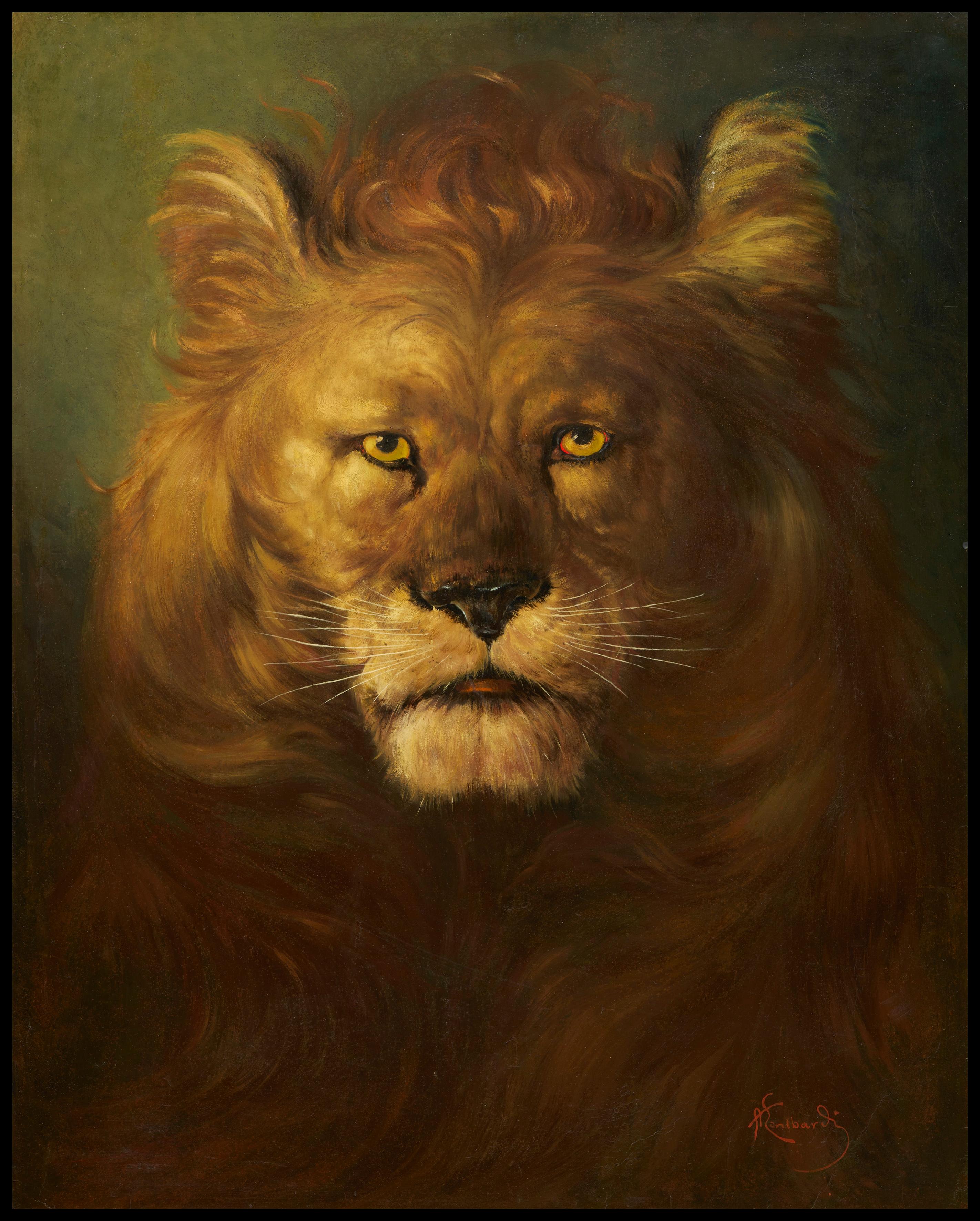 Lion - Painting de montbard