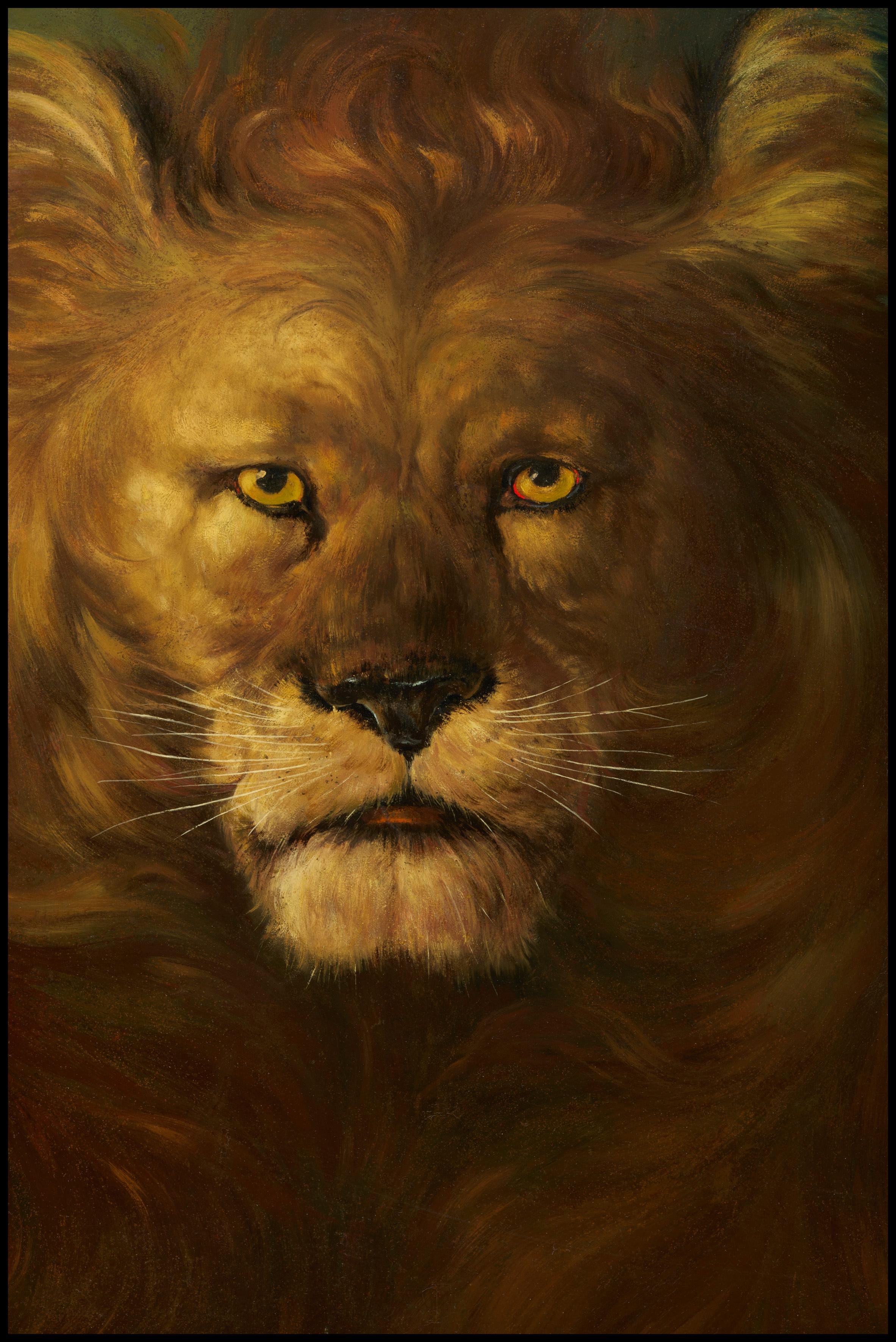 Lion - Académique Painting par montbard