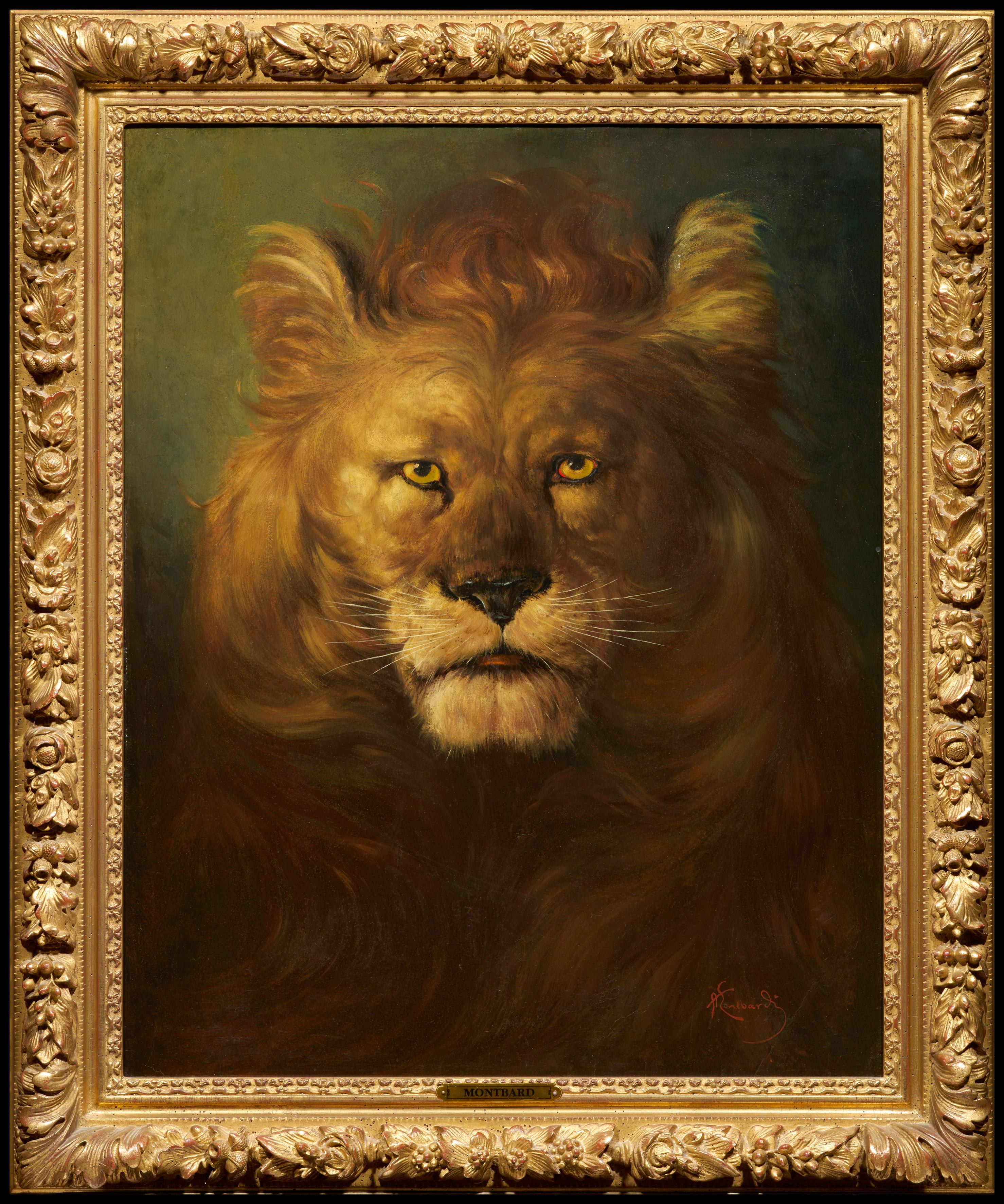 Animal Painting montbard - Lion