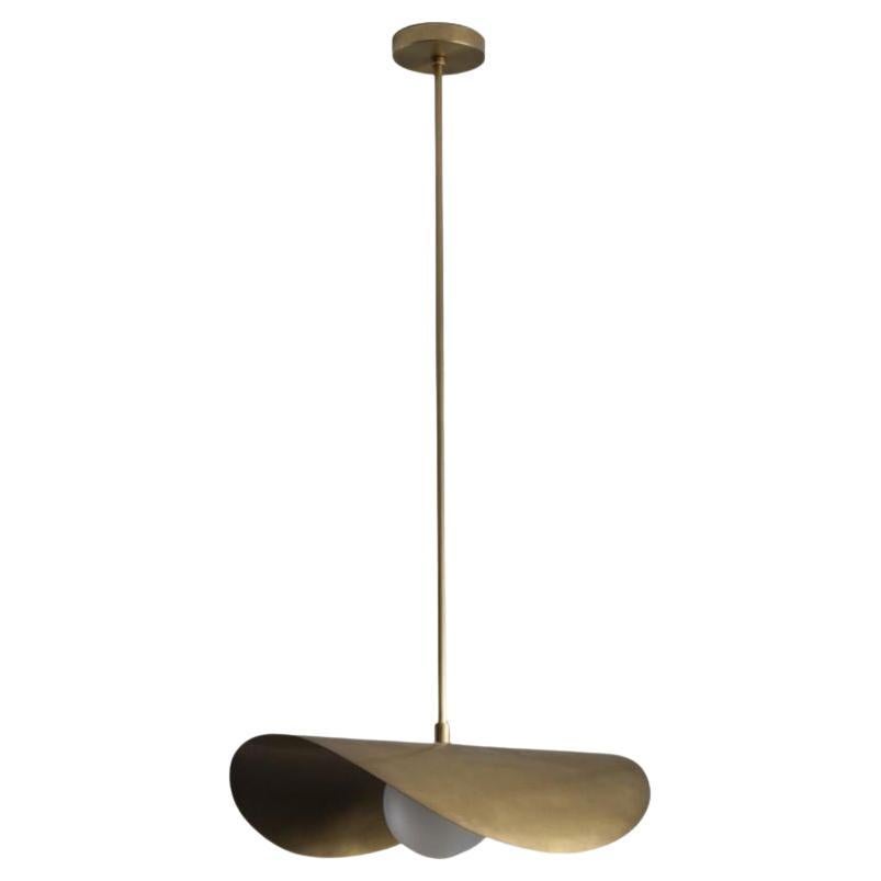 Montera Biomorphic Pendant Light in Brass and Blown Glass For Sale