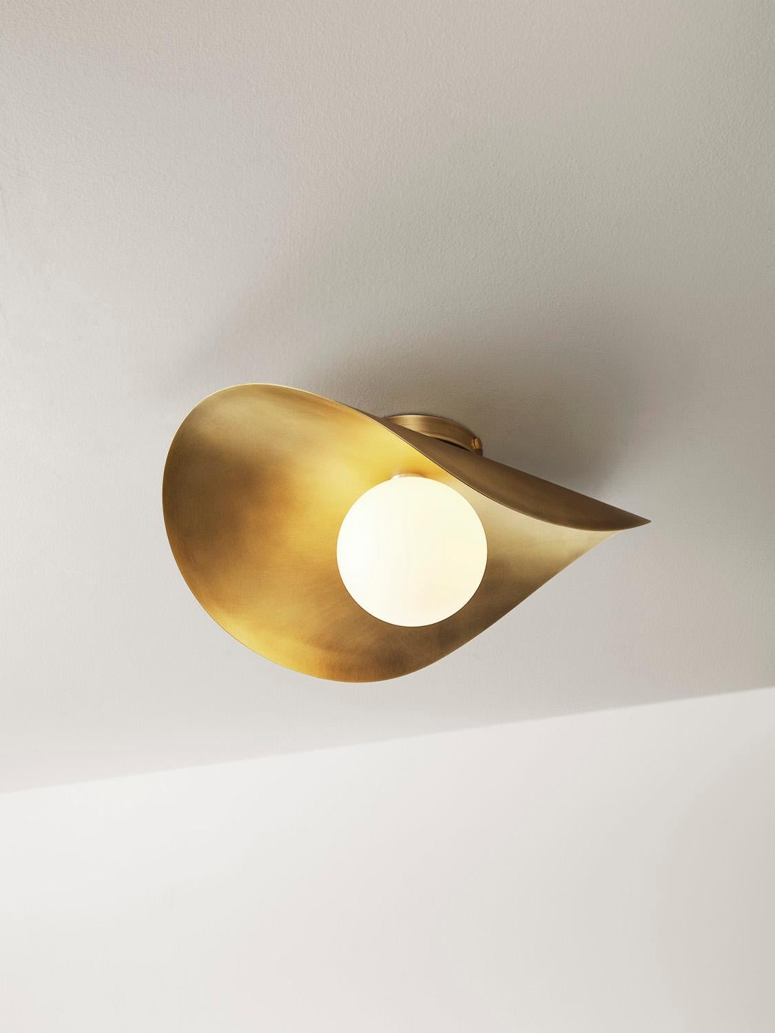 MONTERA Wall Sconce or Flushmount , biomorphic Brass & Glass, Blueprint Lighting For Sale 2