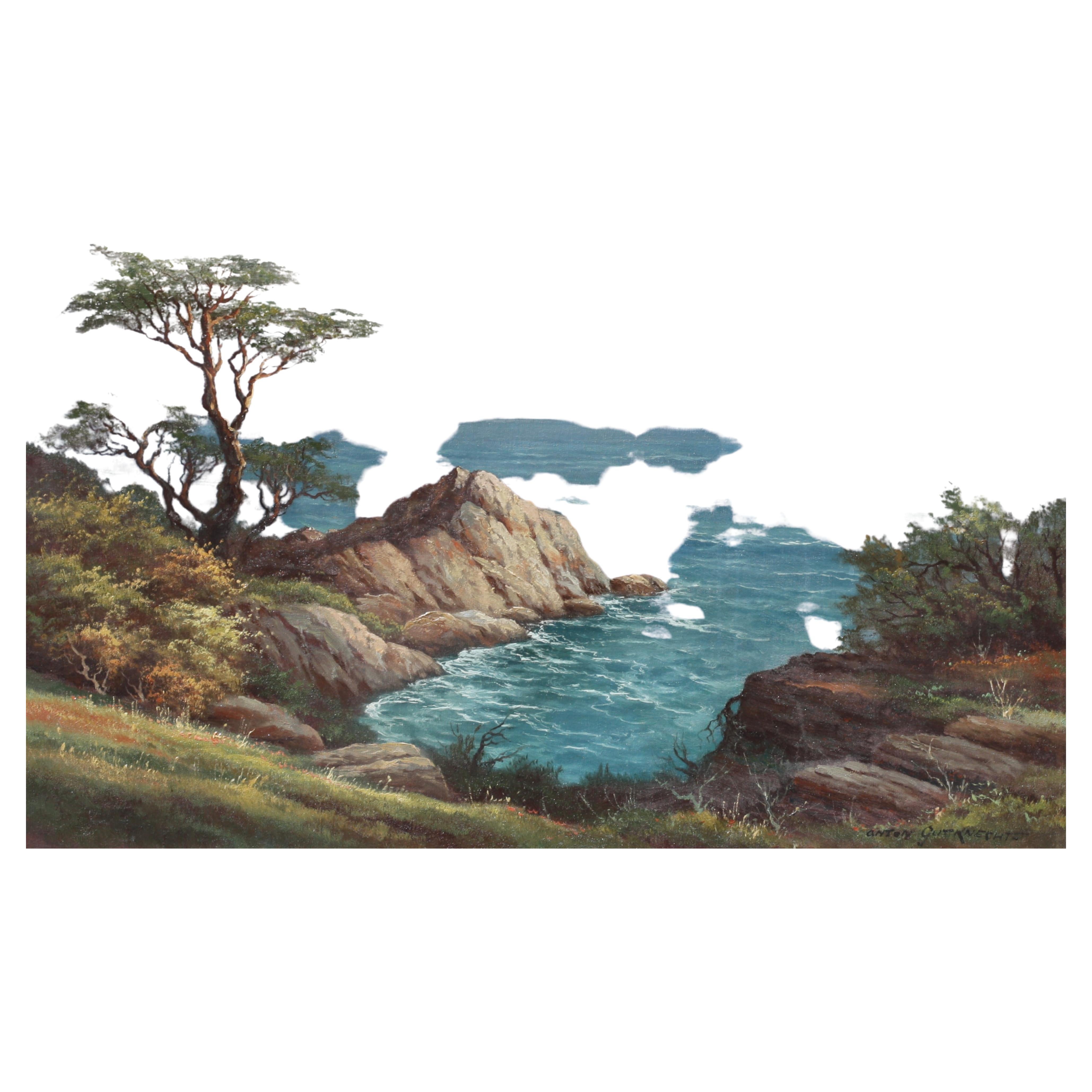 Monterey, Zypressenbaum an der Ocean Side