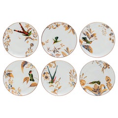 Monteverde, Six Contemporary Porcelain Dessert Plates with Decorative Design