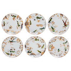 Monteverde, Six Contemporary Porcelain Dinner Plates with Decorative Design