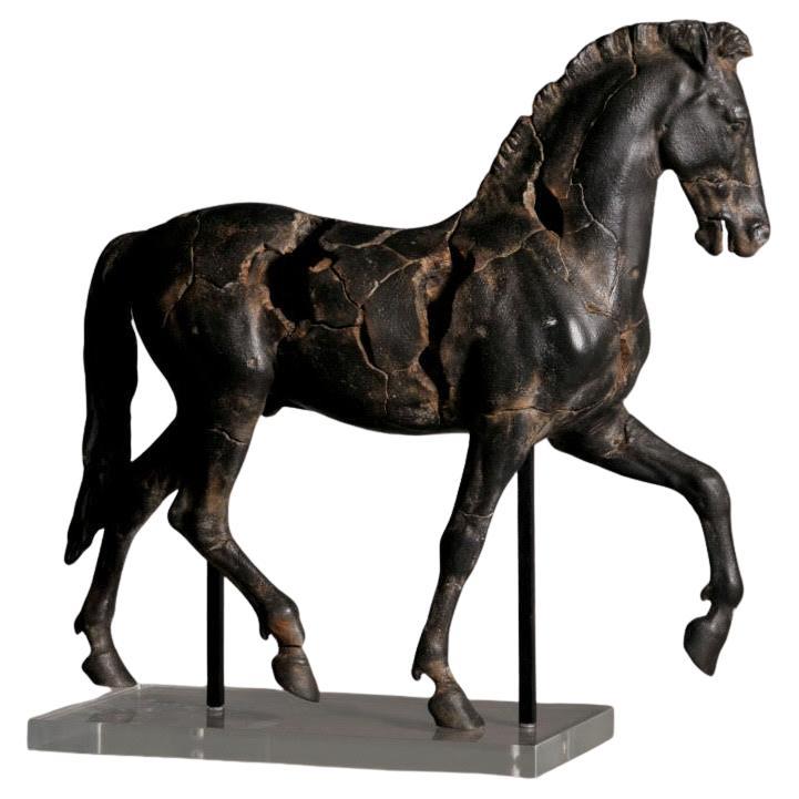 Scultura di cavallo Montys in resina e plexiglas.