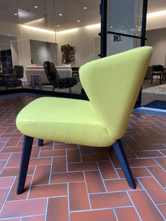 Montis Back Me Up Salon  Club Chair Designed by Arian Brekveld IN STOCK