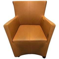 Montis Leather Sting Armchair