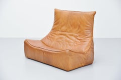 Montis Rock Sofa by Gerard van den Berg Holland, 1970