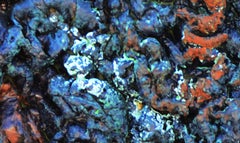 Filigranas