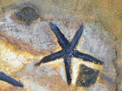 Fósiles