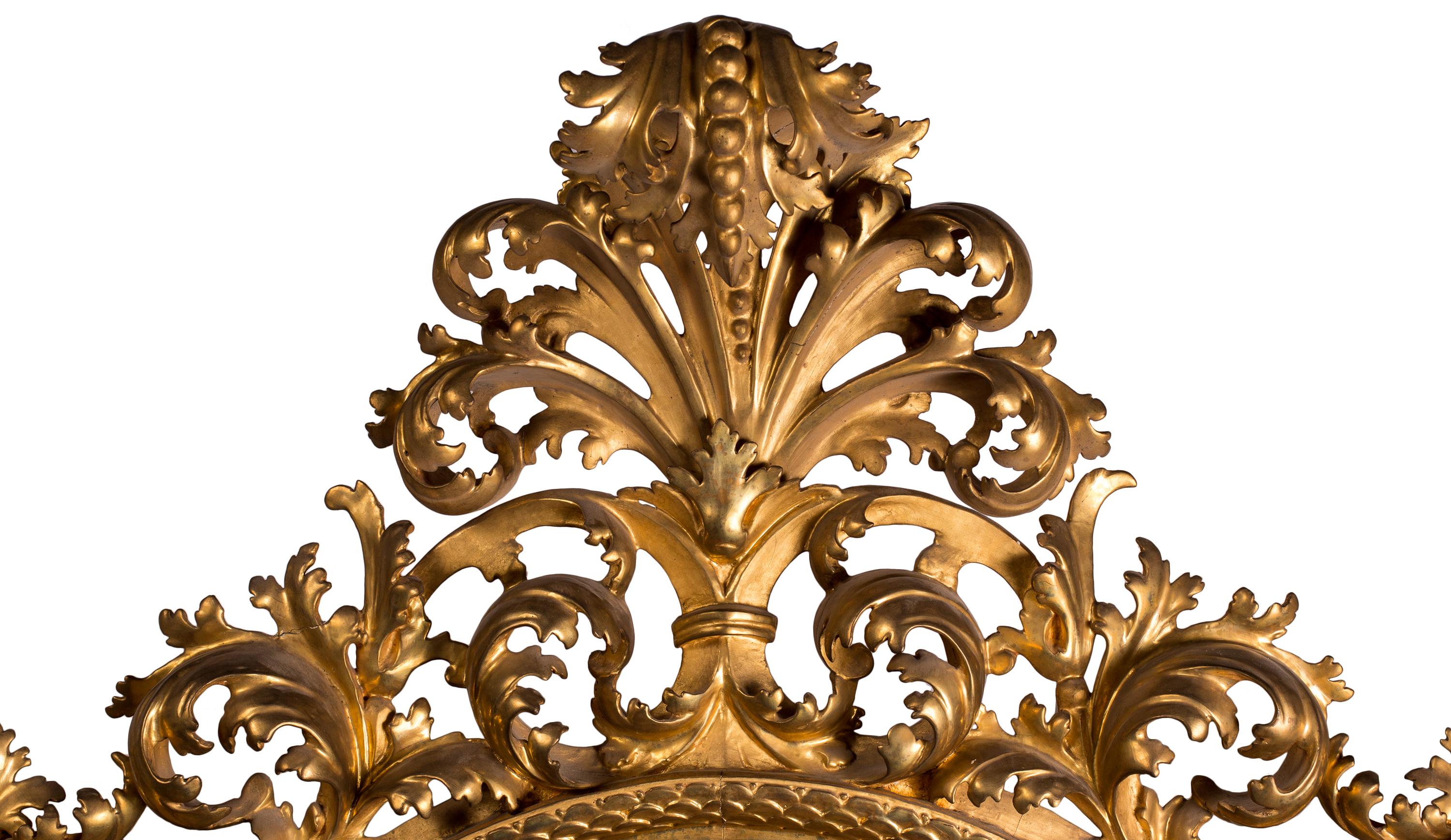 Dramatischer, monumentaler Florentiner Rokoko-Spiegel aus vergoldetem Holz mit passendem Pflanzgefäß  (Geschnitzt) im Angebot