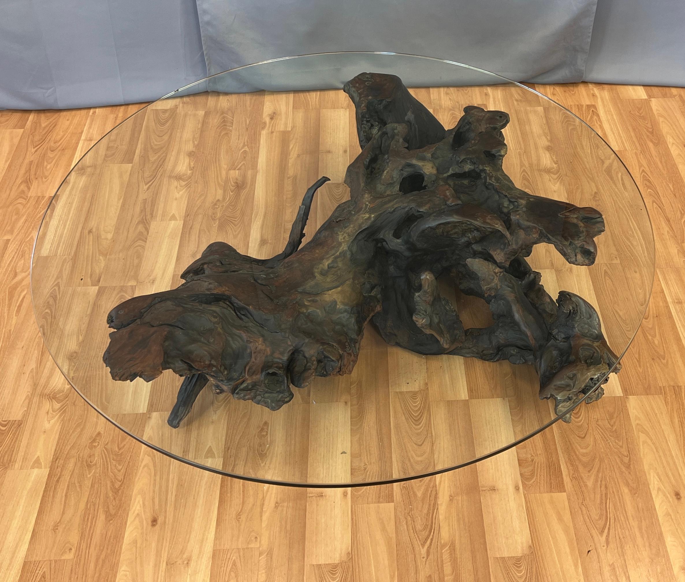 Monumental 1970s Natural Freeform Wood Round Glass Top Coffee Table In Good Condition For Sale In San Francisco, CA