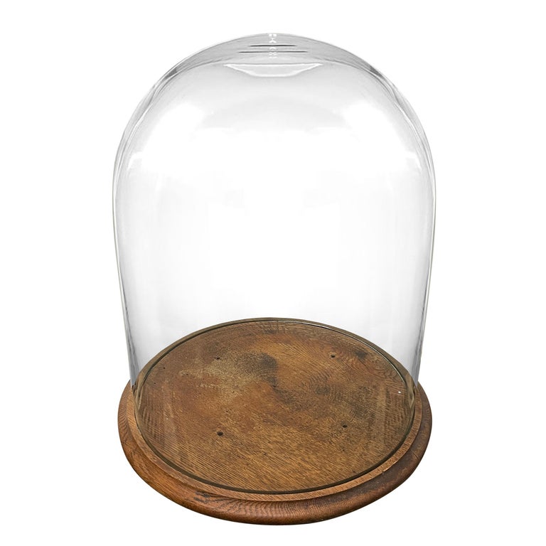 Monumental 19th Century American Glass Cloche For Sale at 1stDibs