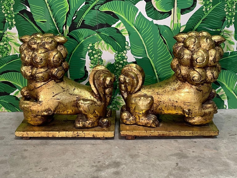 Monumental 19th Century Asian Carved Giltwood Foo Dogs For Sale at 1stDibs