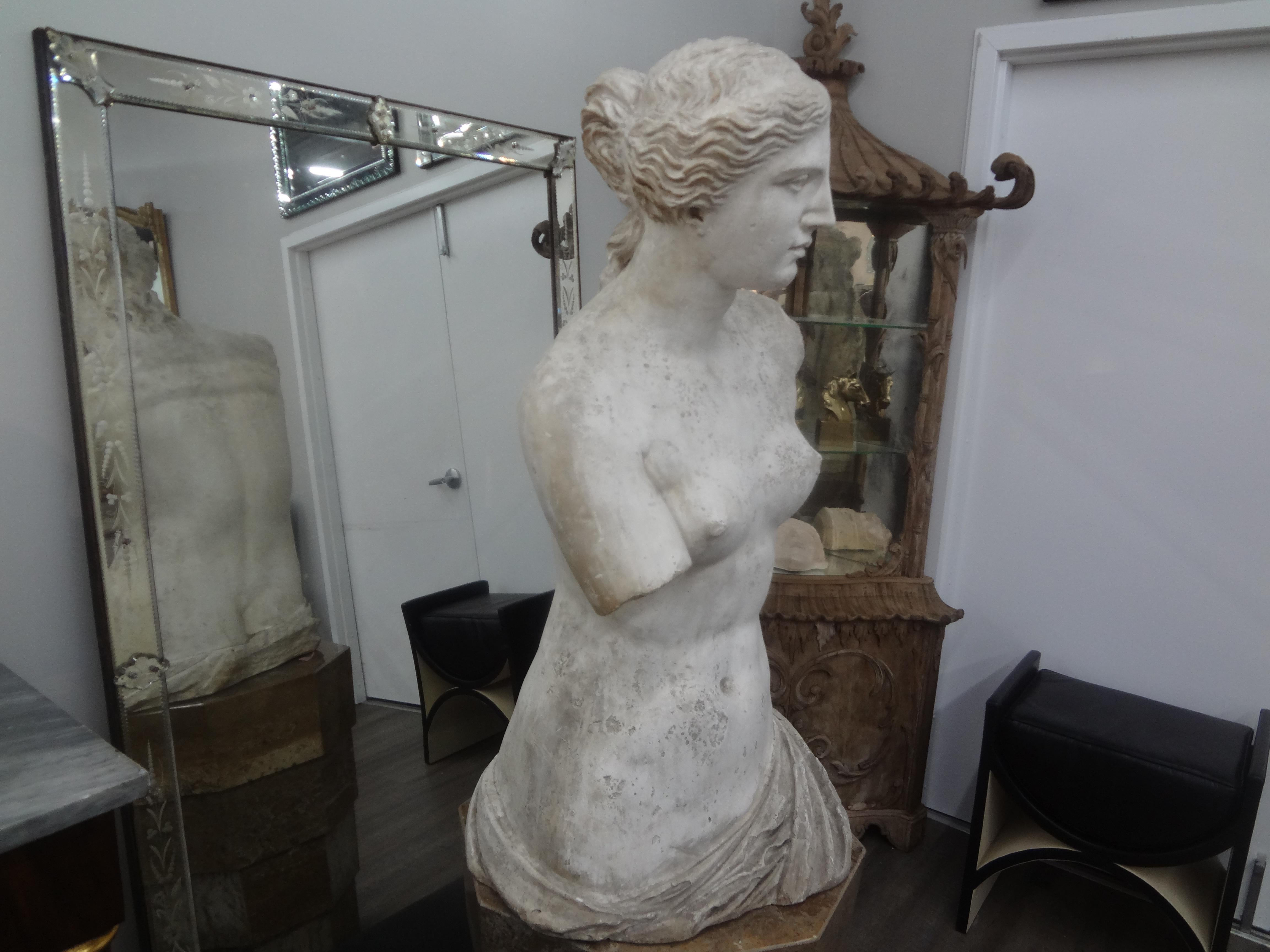 Monumental 19th Century French Plaster Torso of Venus For Sale 4