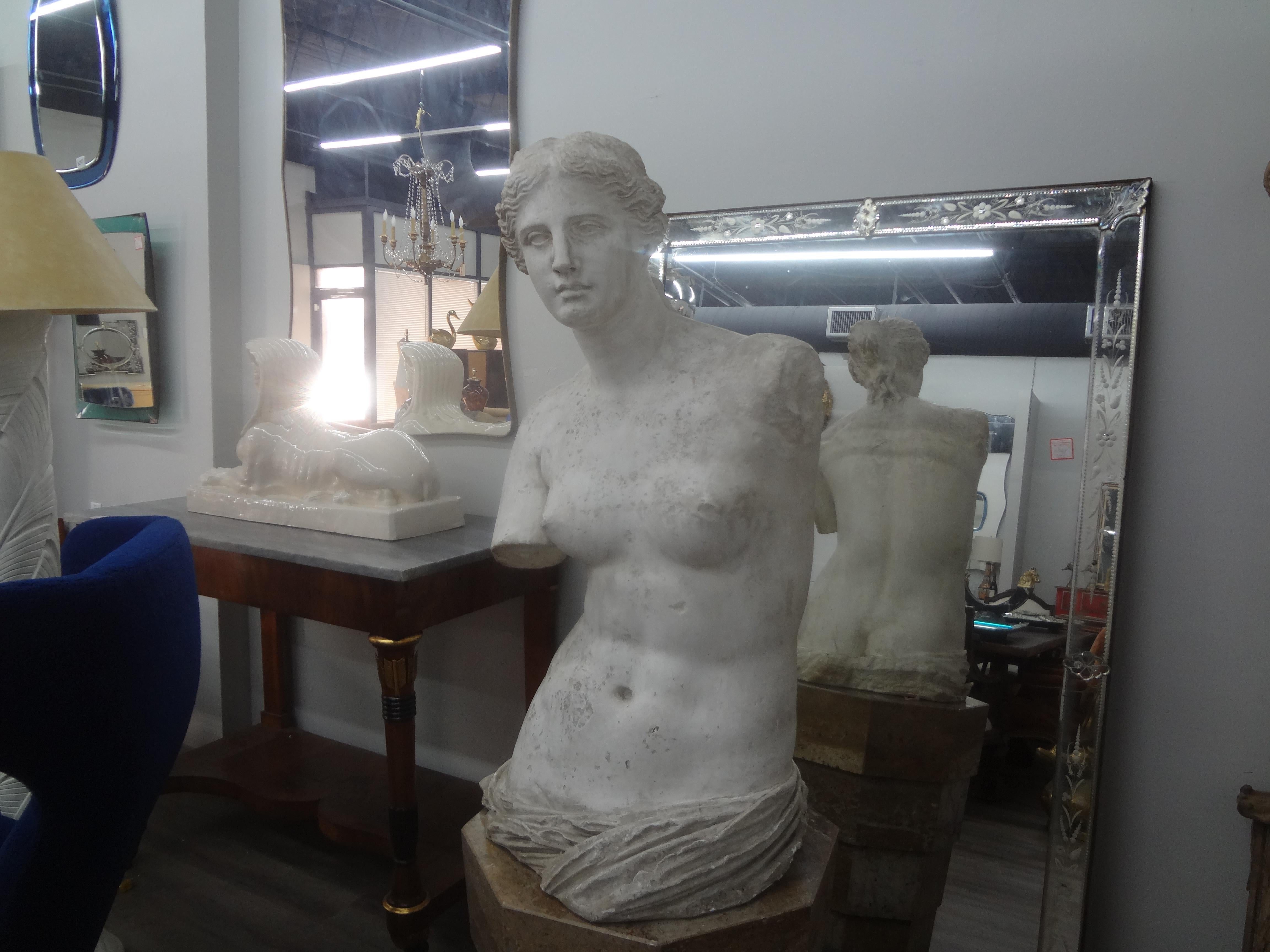 Monumental 19th Century French Plaster Torso of Venus For Sale 7