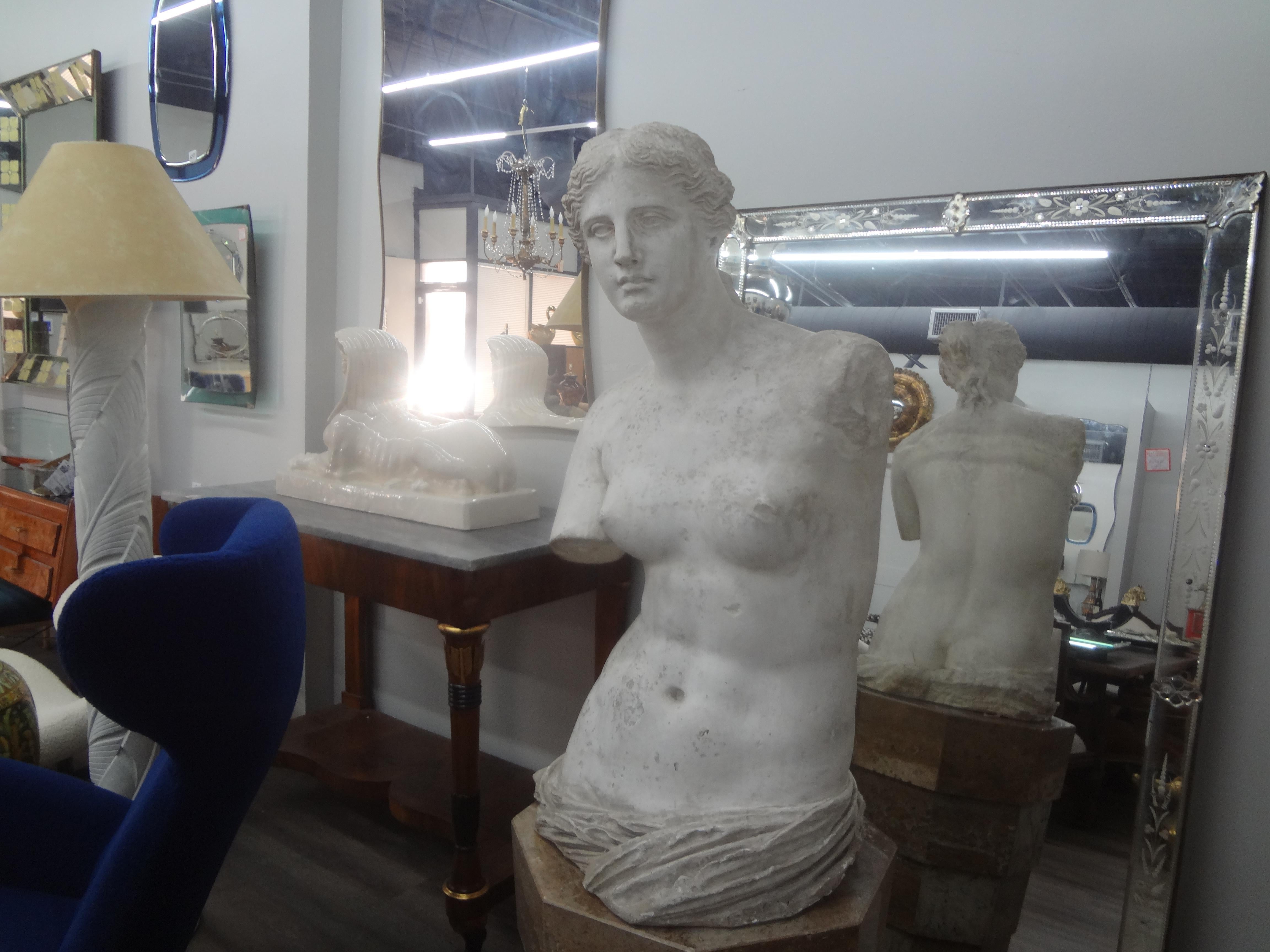 Monumental 19th Century French Plaster Torso of Venus For Sale 1