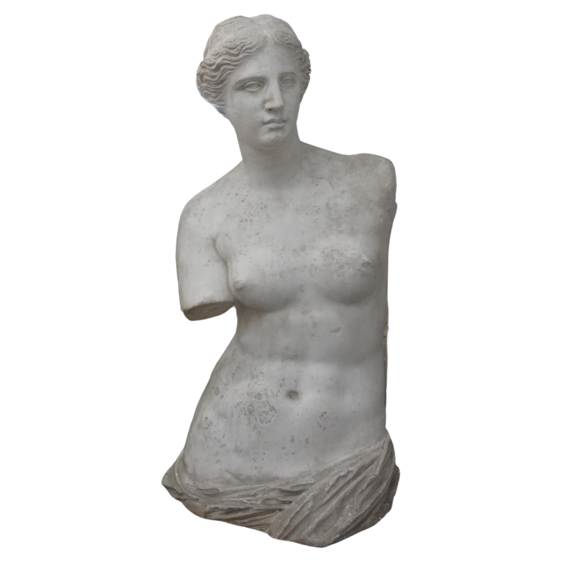 Monumental 19th Century French Plaster Torso of Venus