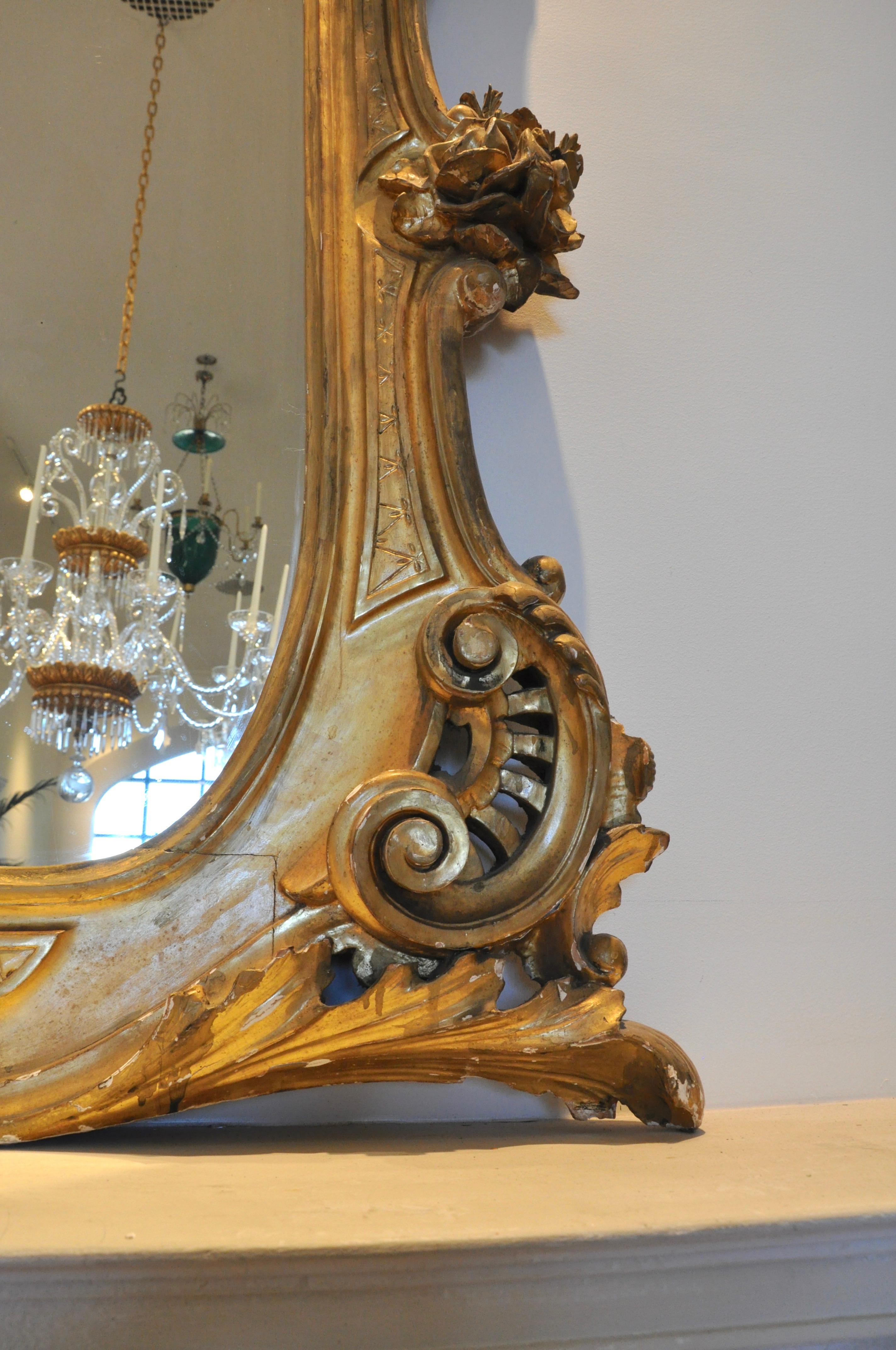 Monumental 19th Century Louis XV Style Gilt Pier Mirror 1