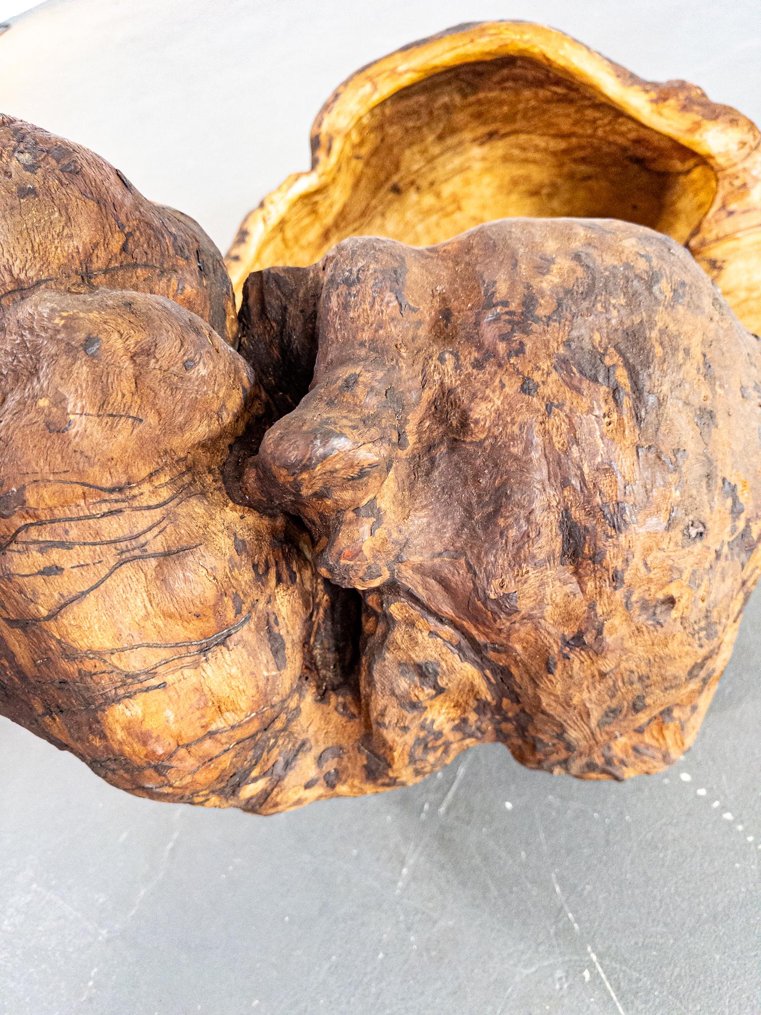 Monumental Vasija Escandinava del Siglo XIX de Madera de Burl - Escultura Orgánica en venta 6