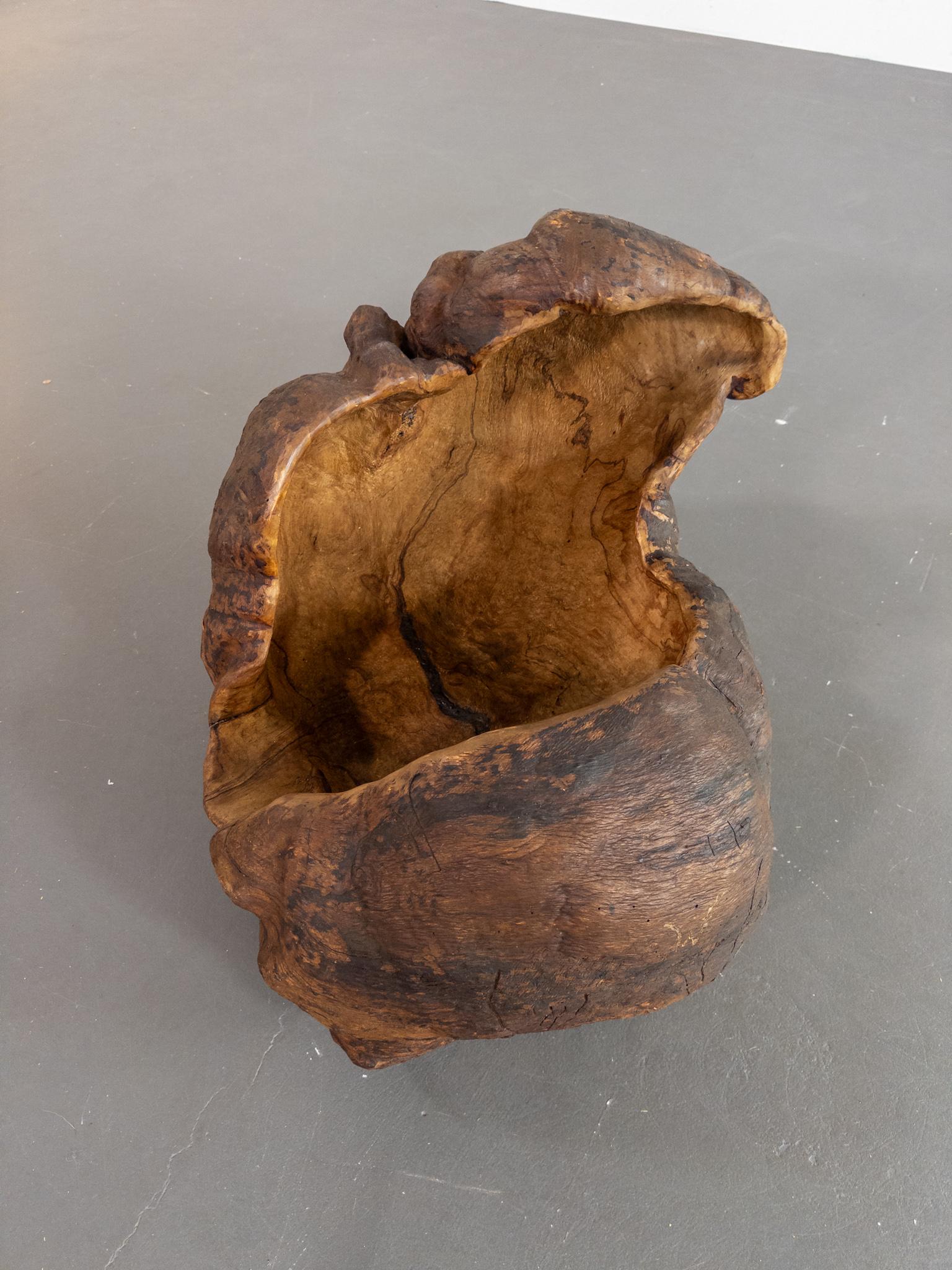 Monumental Vasija Escandinava del Siglo XIX de Madera de Burl - Escultura Orgánica en venta 8
