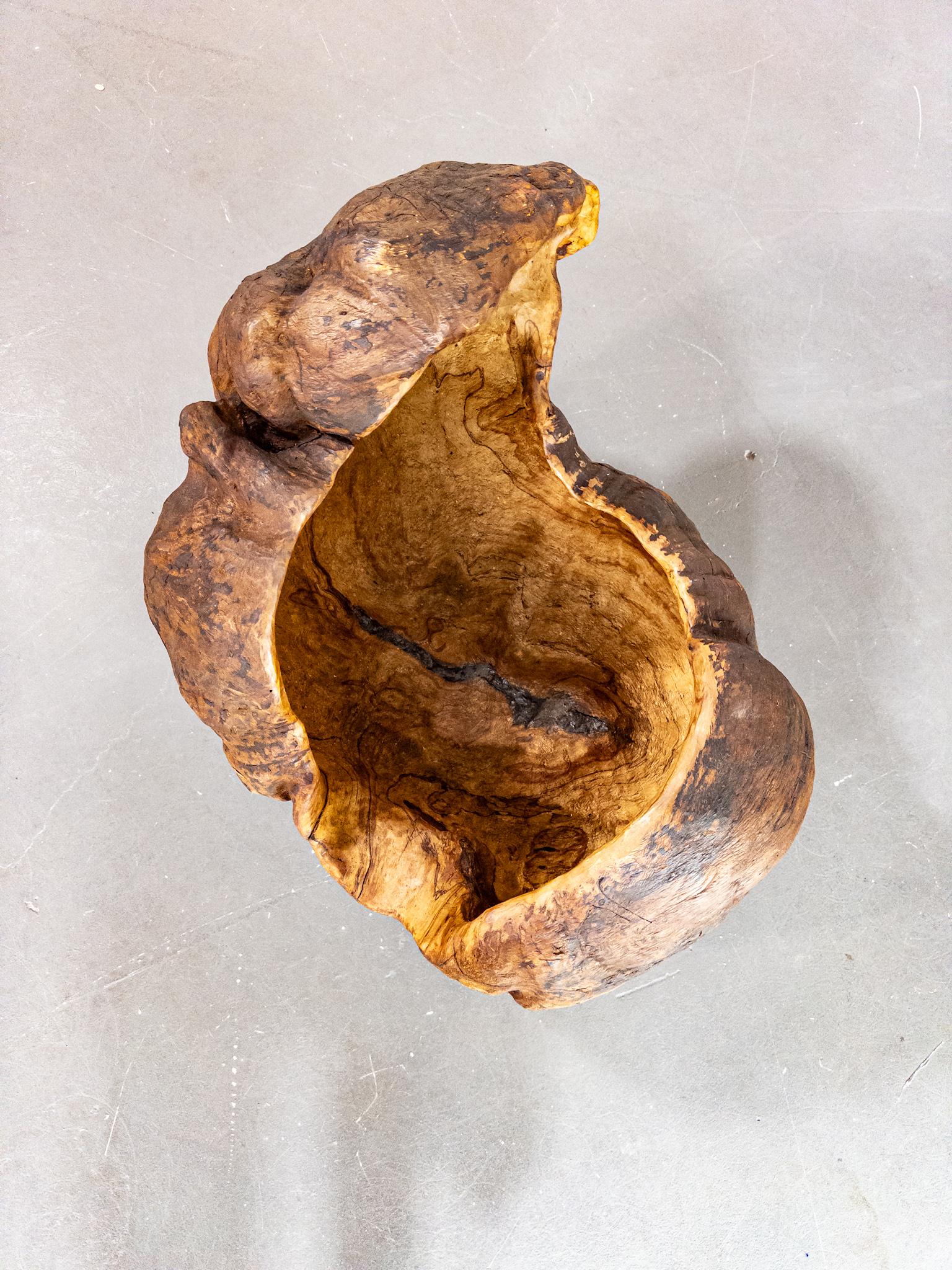 Monumental Vasija Escandinava del Siglo XIX de Madera de Burl - Escultura Orgánica Escandinavo moderno en venta