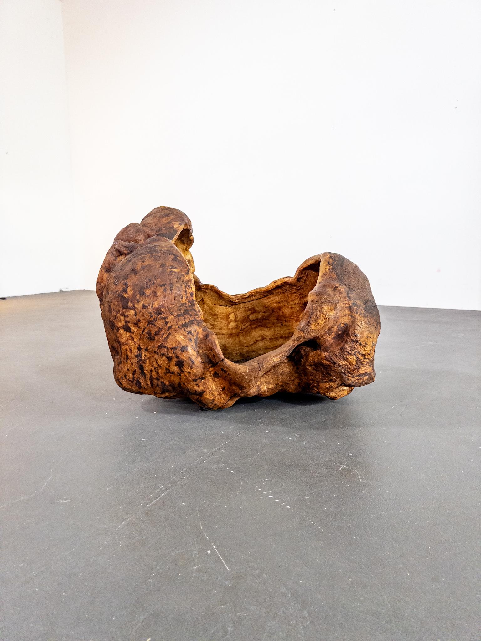 Monumental Vasija Escandinava del Siglo XIX de Madera de Burl - Escultura Orgánica Sueco en venta