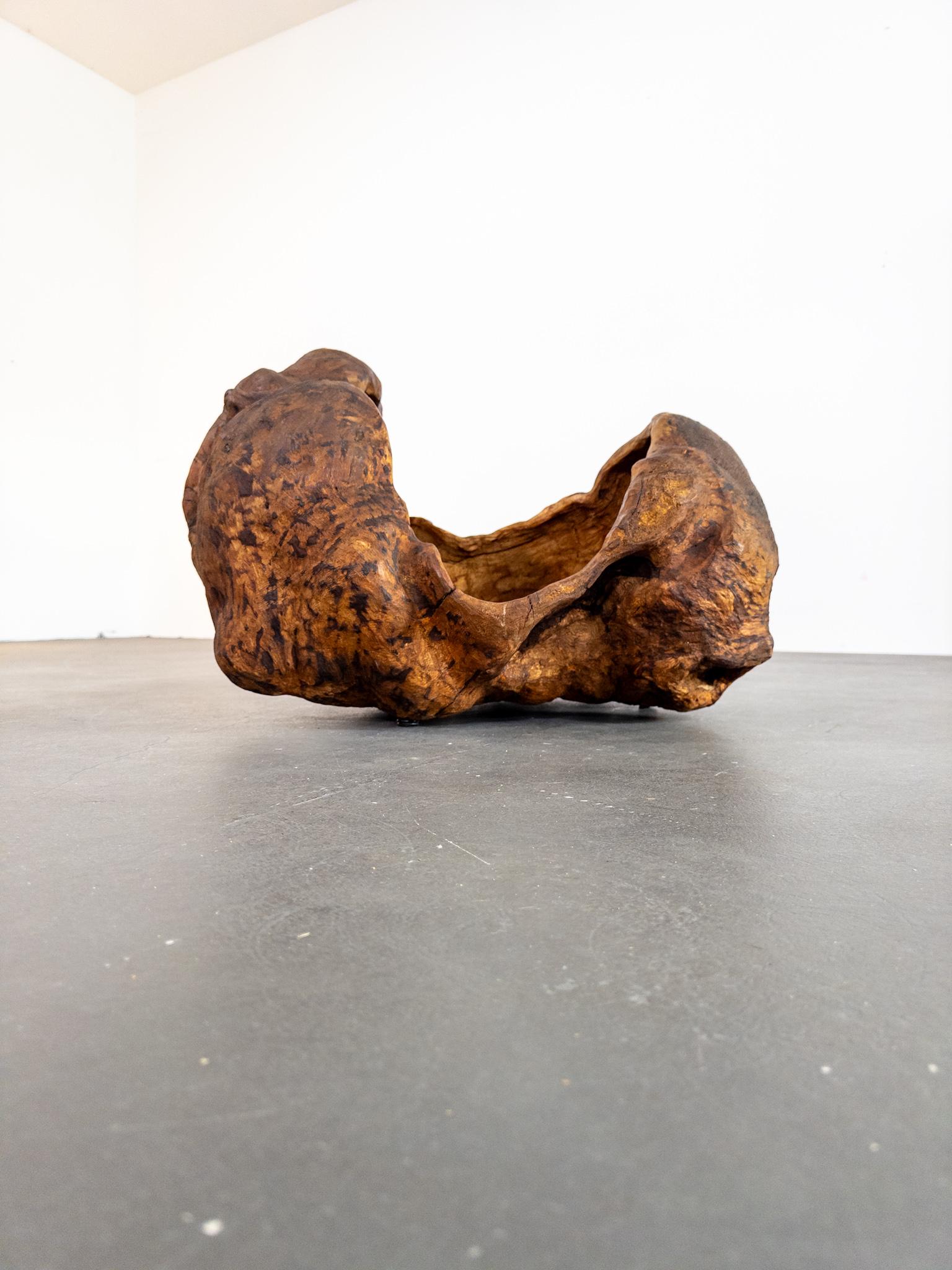 Monumental Vasija Escandinava del Siglo XIX de Madera de Burl - Escultura Orgánica en Bueno estado para la venta en Staffanstorp, SE
