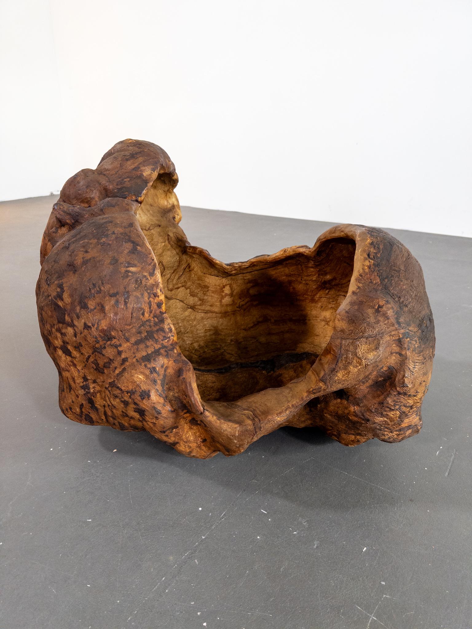 Monumental Vasija Escandinava del Siglo XIX de Madera de Burl - Escultura Orgánica Fines del siglo XIX en venta
