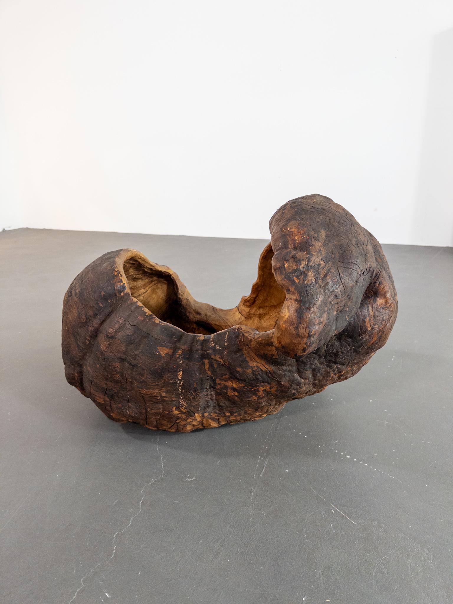 Monumental Vasija Escandinava del Siglo XIX de Madera de Burl - Escultura Orgánica en venta 2