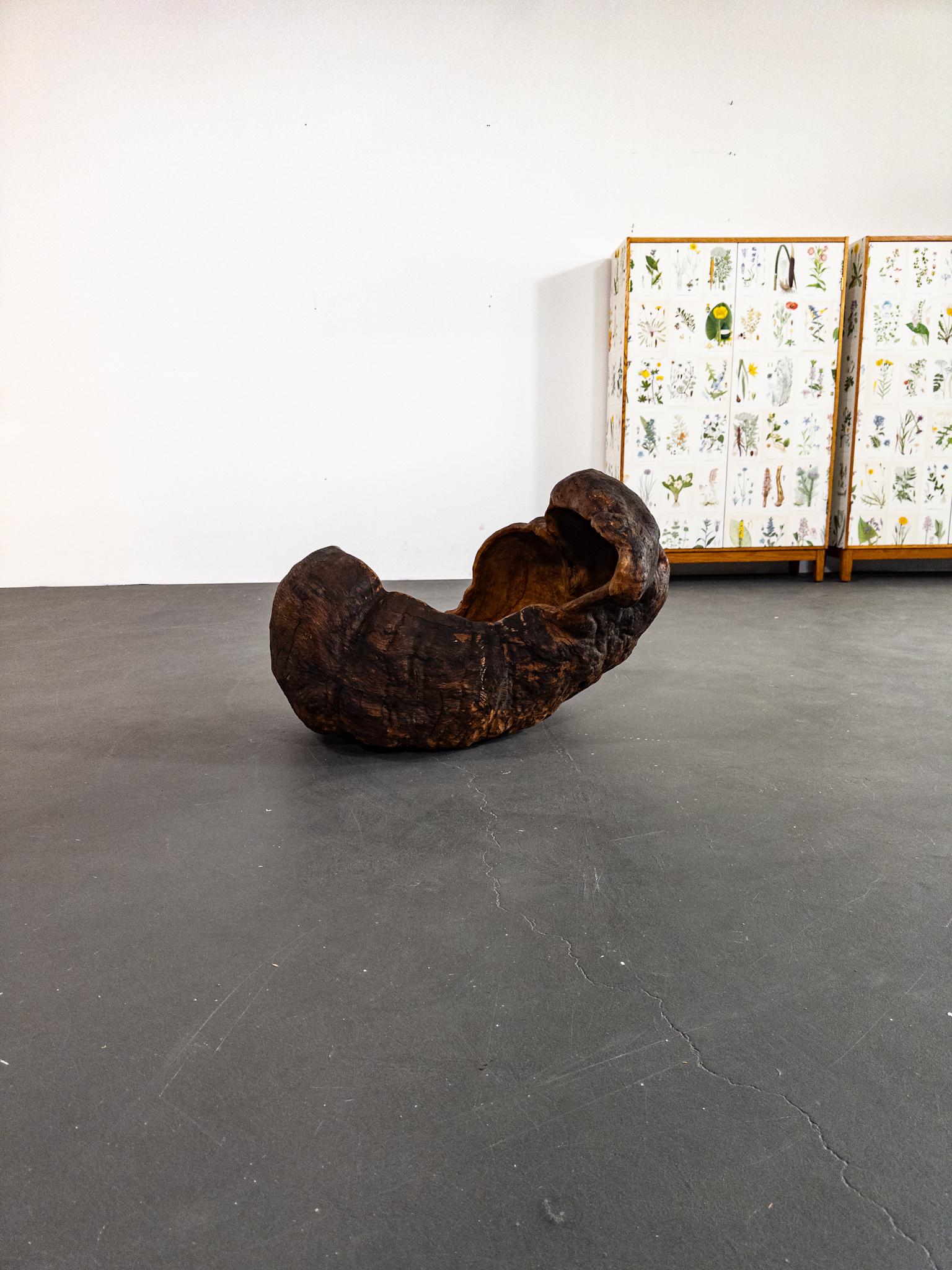 Monumental Vasija Escandinava del Siglo XIX de Madera de Burl - Escultura Orgánica en venta 3