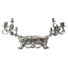 Monumental 19th Century Silvered Bronze Jardiniere Centerpiece with Candelabrum