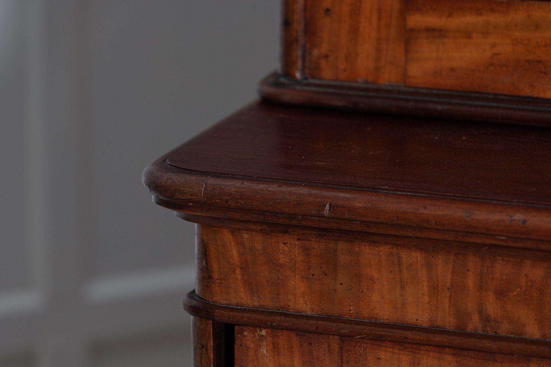 Monumental 19th C Arched Glazed Mahogany Library Bookcase 4