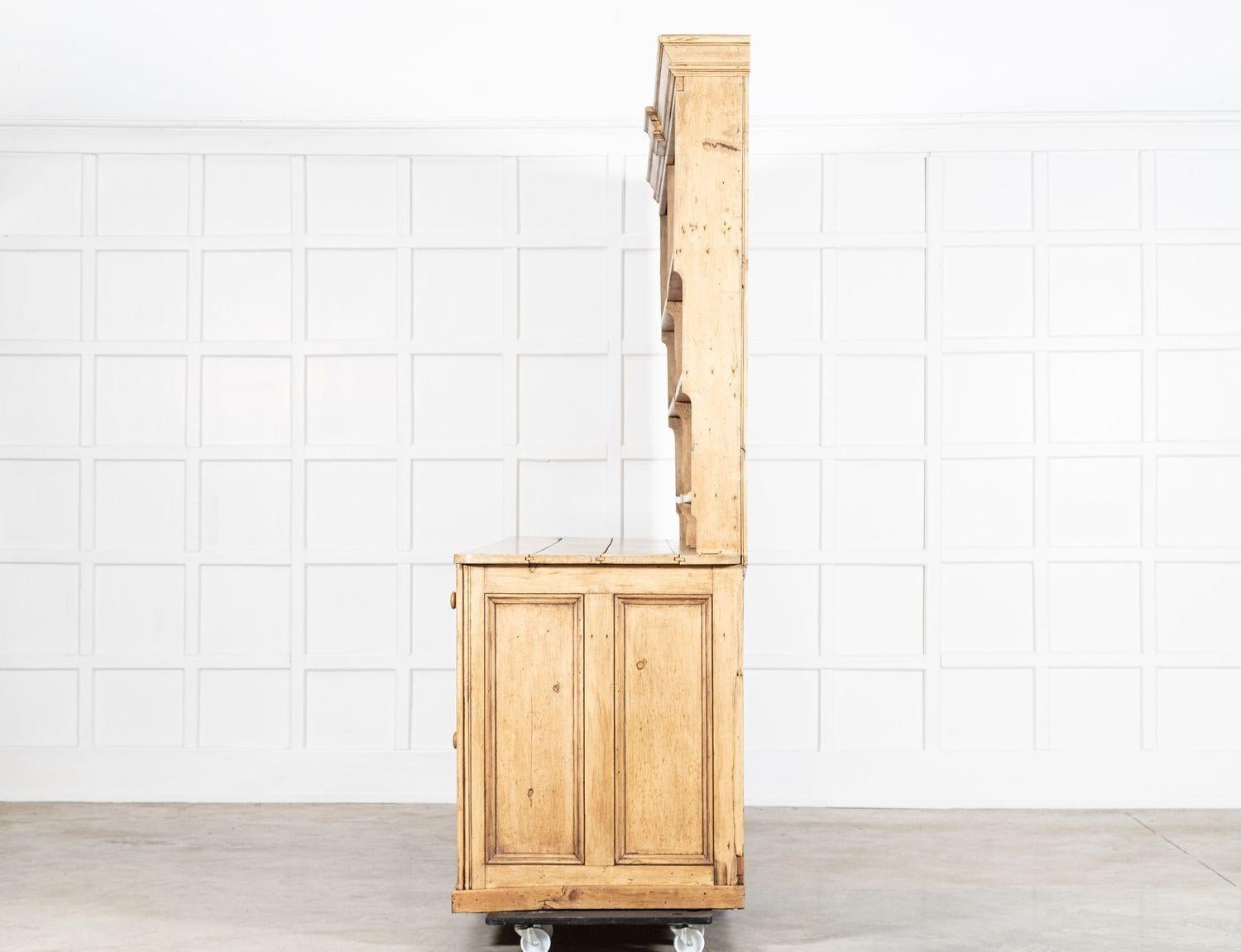 Monumental 19thc English Country House Sycamore Top Dresser For Sale 2