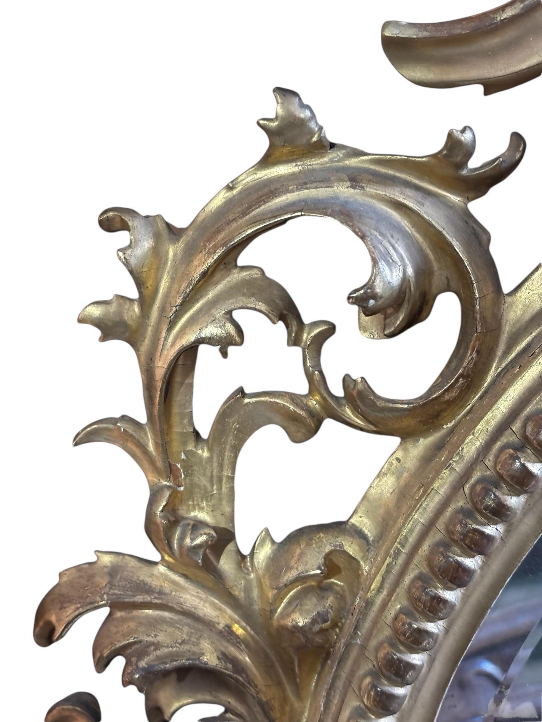 Rococo Monumental 19thC Italian Giltwood Mirror For Sale