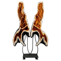 Monumentale AAA-Citrin-Schmetterlingsgeode mit Dreifach-Kammer-Formation