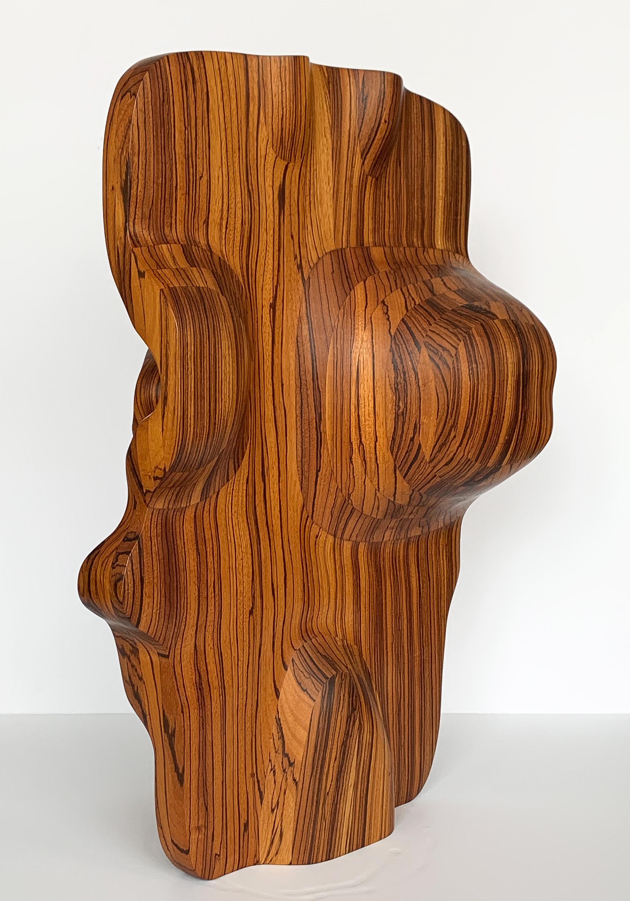 Late 20th Century Monumental Abstract Carved Zebrawood Sculpture by John Campbell