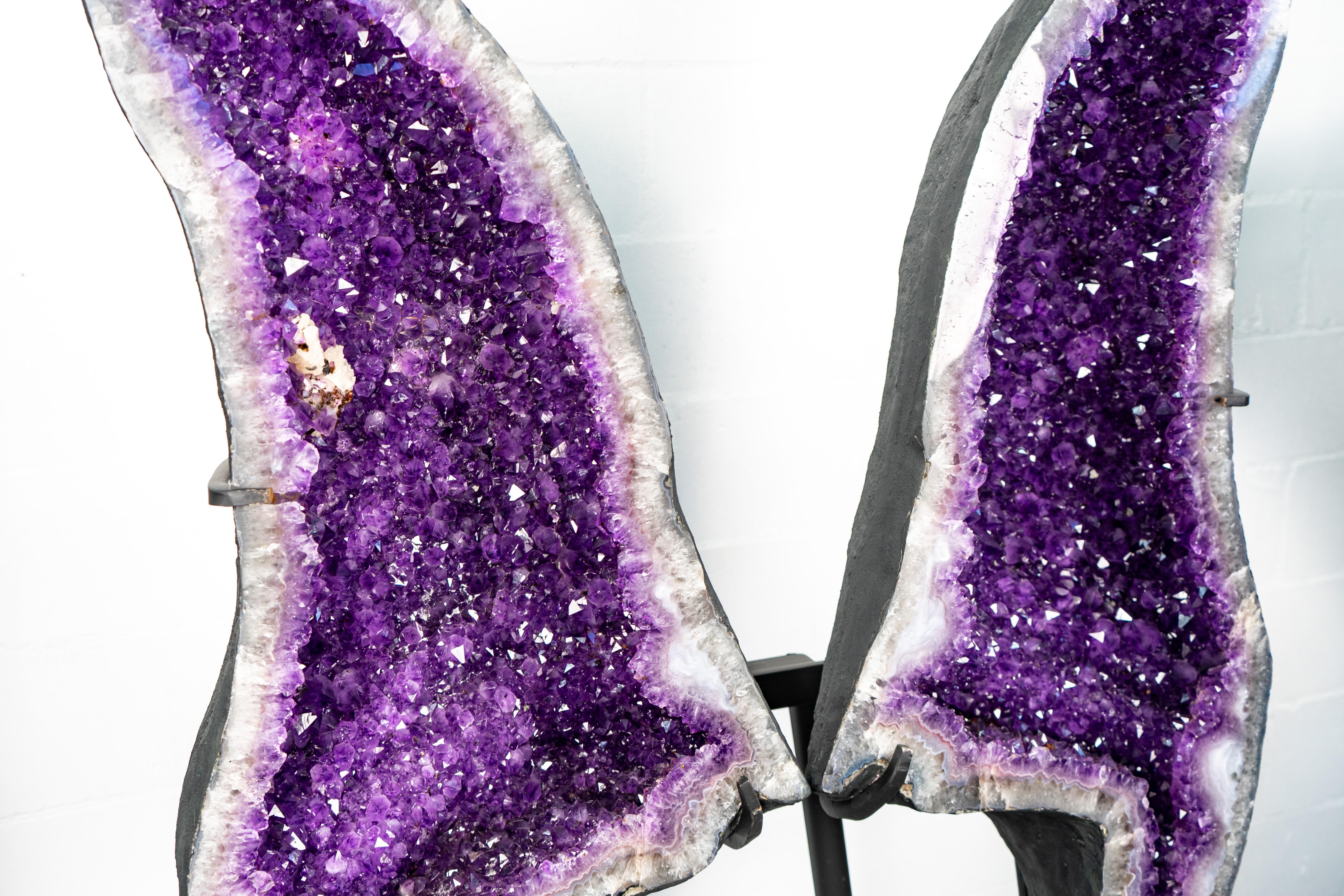 Spectaculaire papillon en améthyste de grande taille : Ailes de papillon sculpturales en améthyste d'une beauté inouïe

▫️ Description

C'est comme si la nature s'était mise en tête de sculpter le papillon parfait. Ces ailes en géode d'améthyste