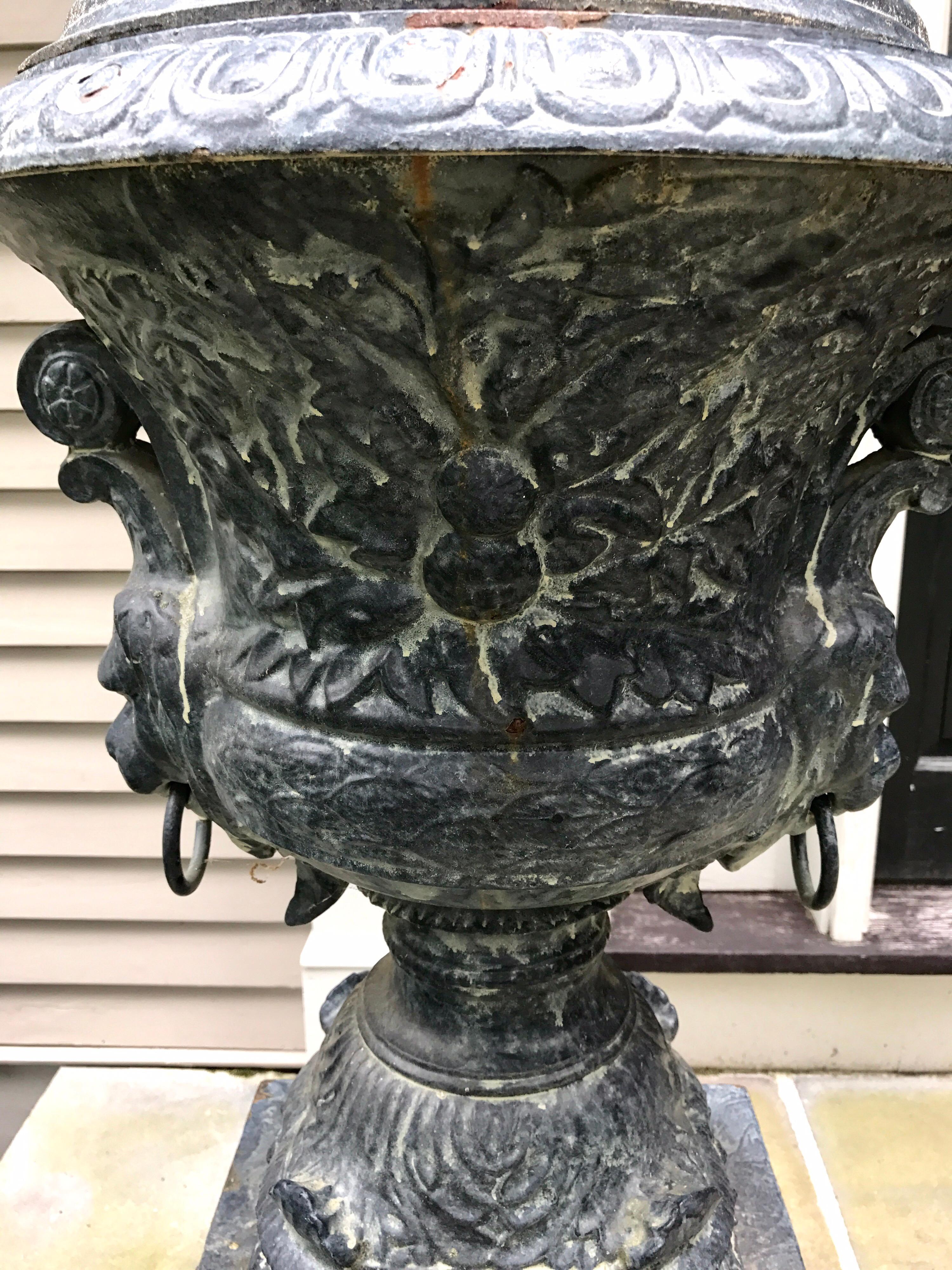 English Monumental Antique Covered Cast Iron Urns on Plinths and Lion Head Handles, Pair