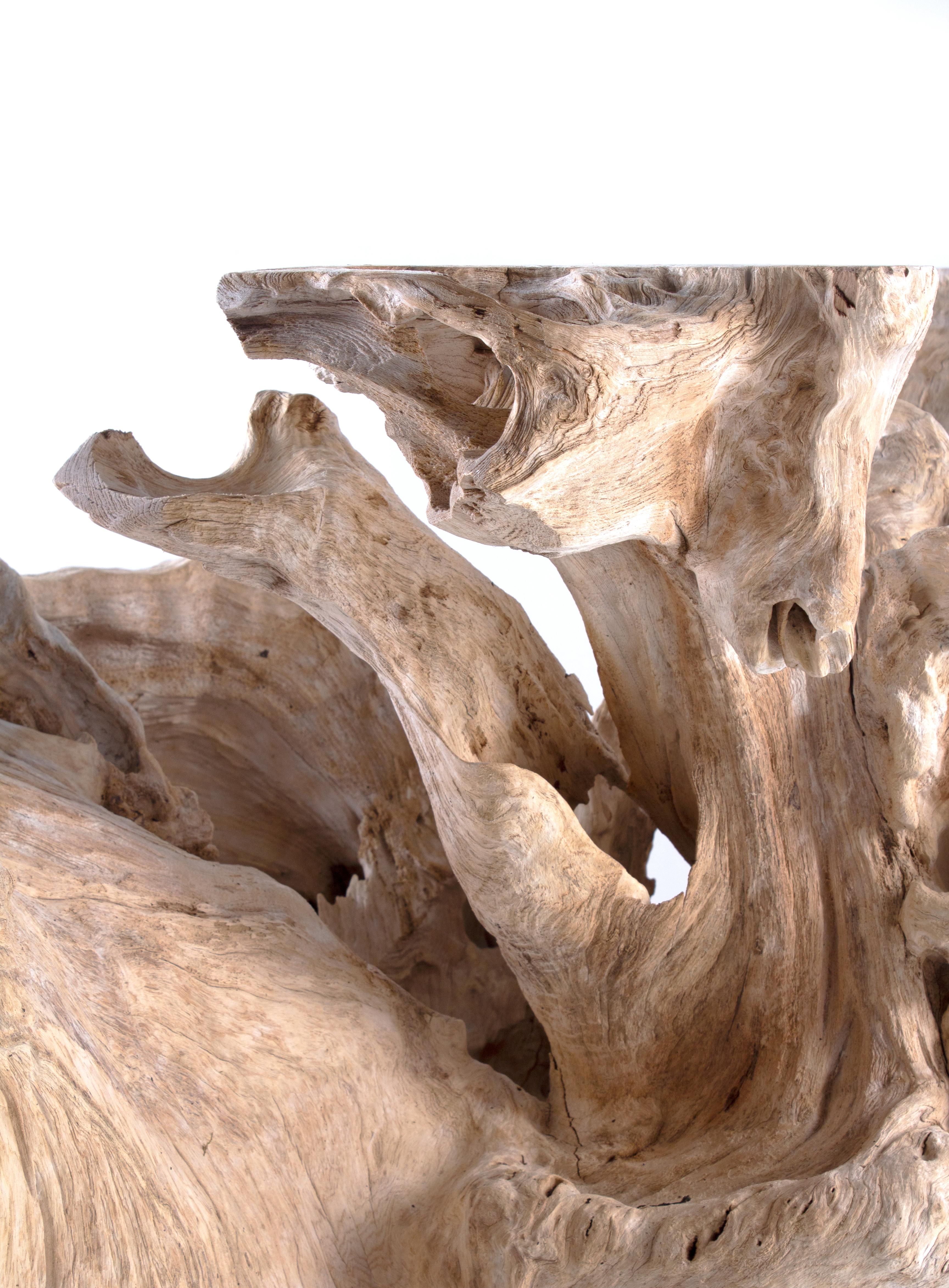 Organic Modern Monumental Bleached Teak Wood Form For Sale