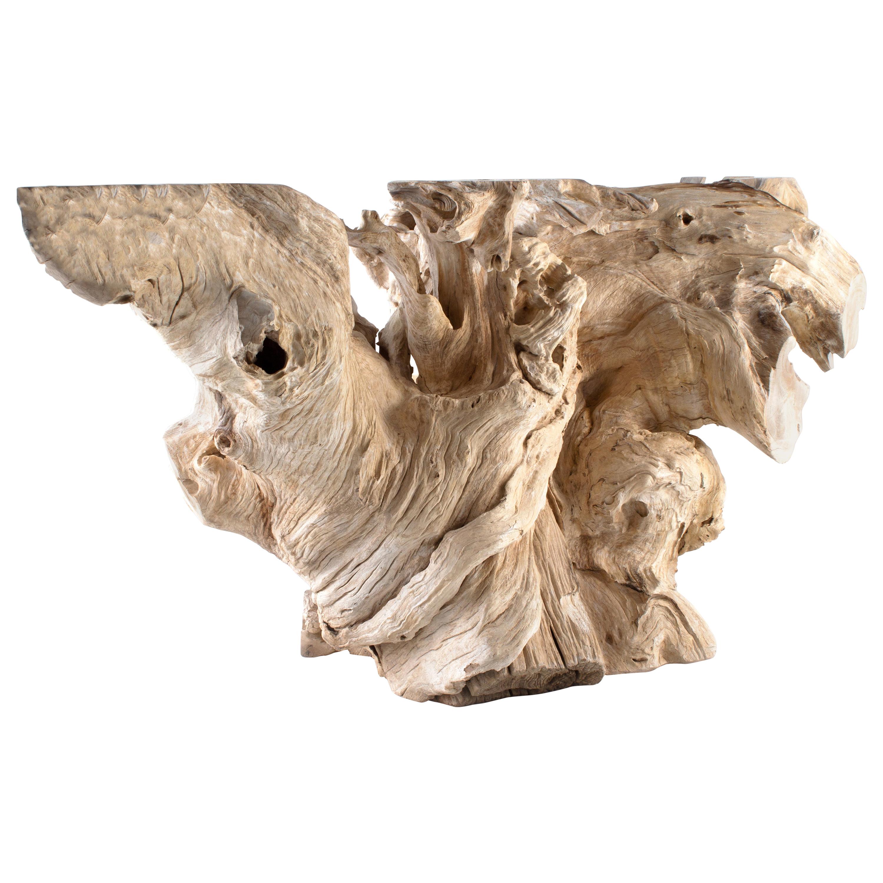 Monumental Bleached Teak Wood Form For Sale