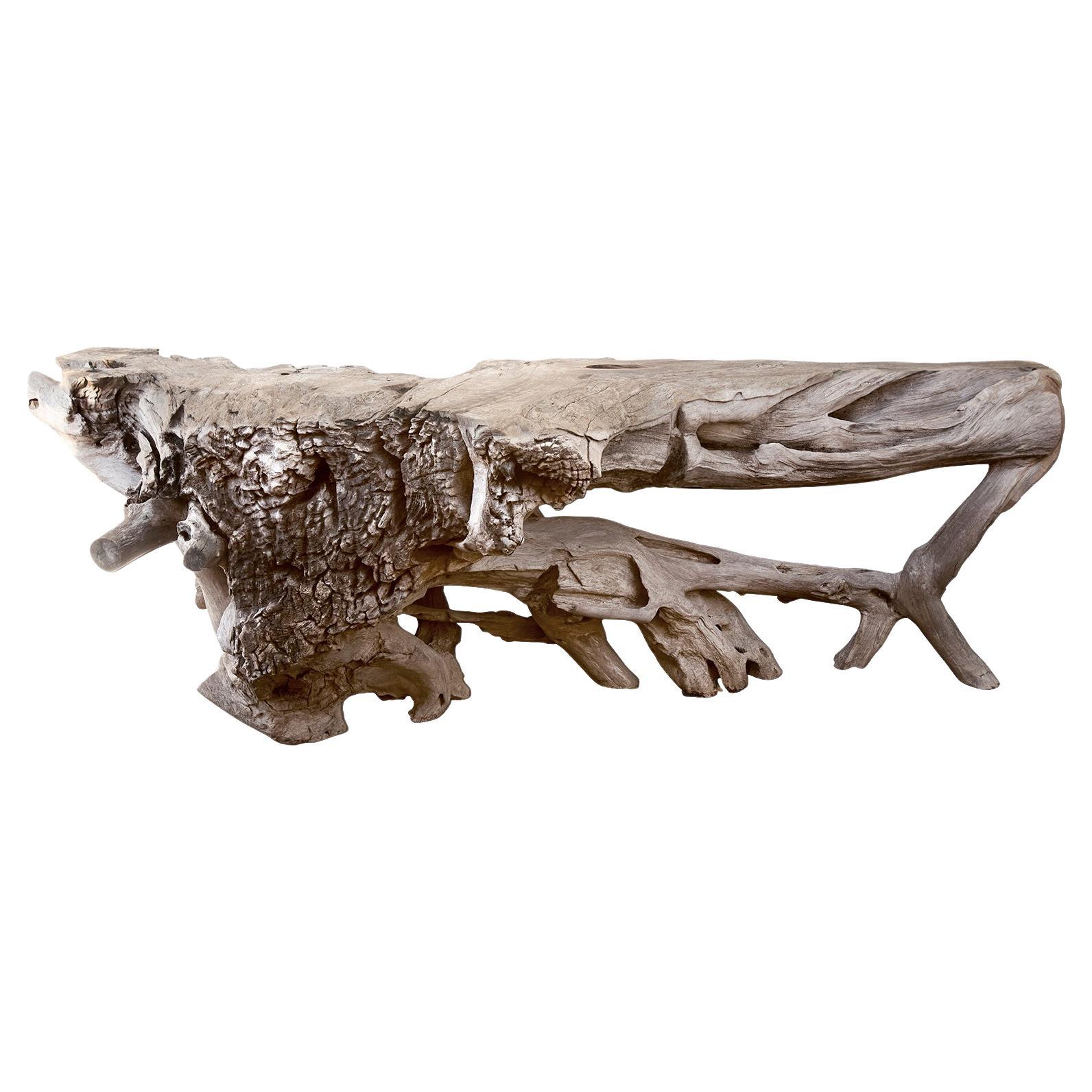 Monumental Bleached Teak Root Wood Console